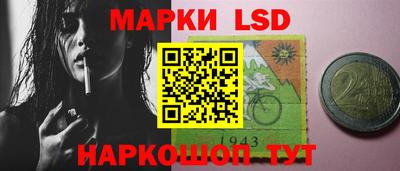 сатива Гатчина