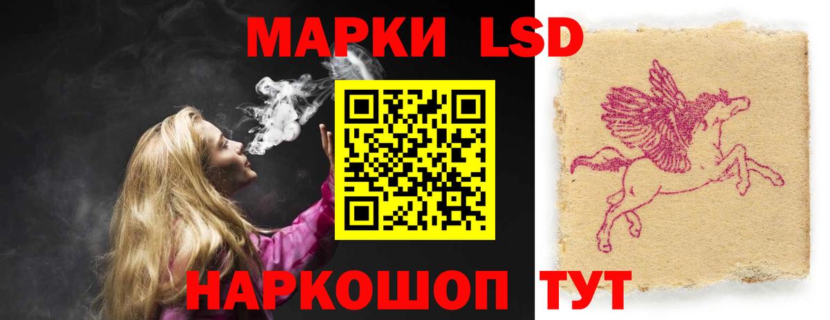 Гашиш Дмитров