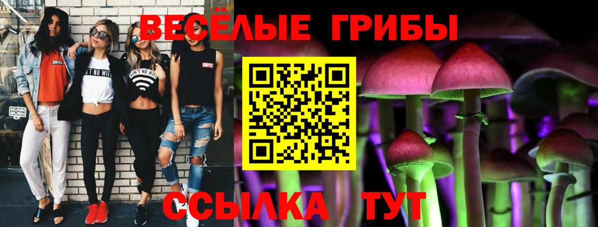 Галлюциногенные грибы мицелий Дмитров