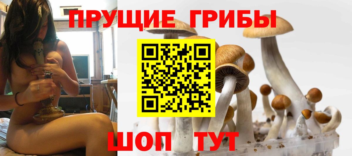 Дмитров  Галлюциногенные грибы мицелий  Вход с VPN 
